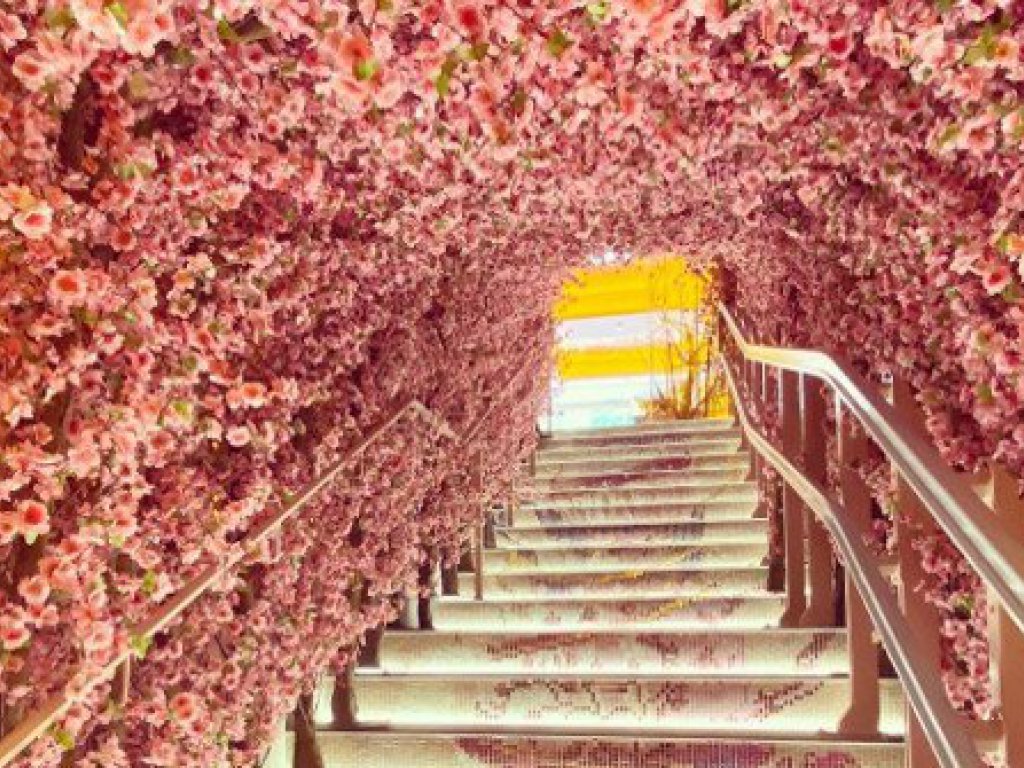 Bloom