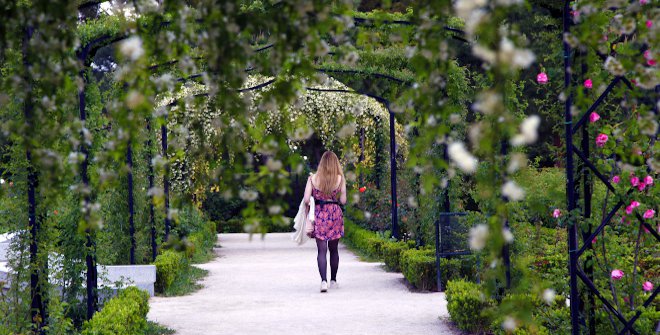 Rosaleda del Parque de El Retiro