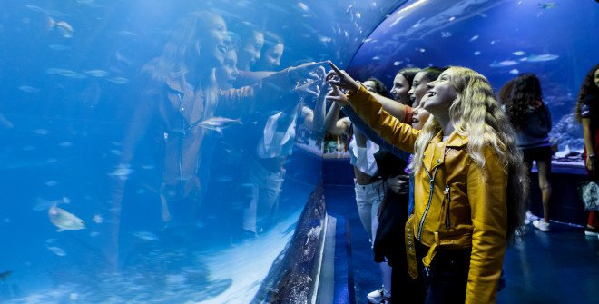 Atlantis Aquarium