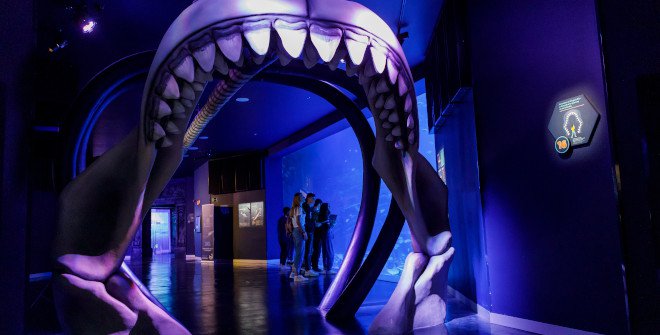 Atlantis Aquarium