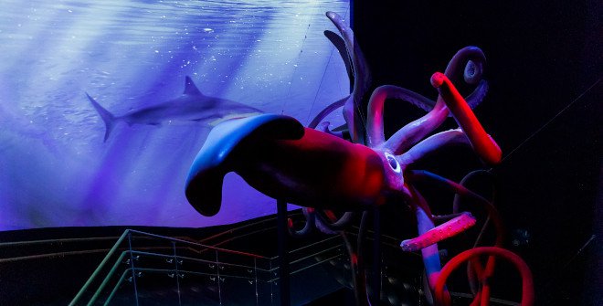 Atlantis Aquarium