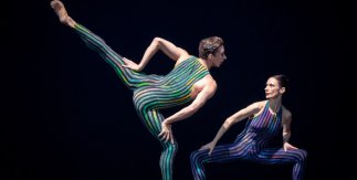 Ballet Estatal de Viena (Wiener Staatsballett)