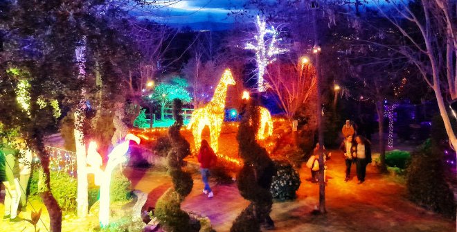El Bosque Encantado