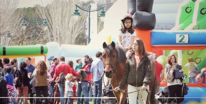 Carreras en el Hipódromo de la Zarzuela