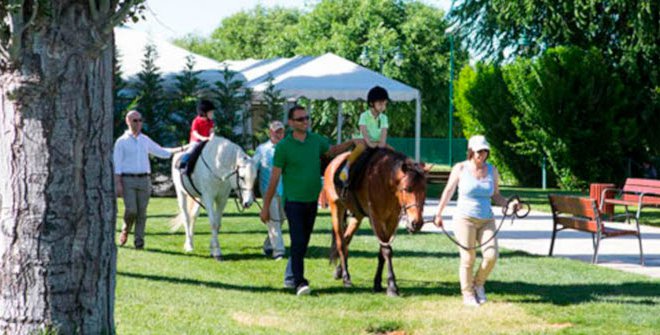 CLUB PONYTURF