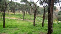 Parque Dehesa de la Villa