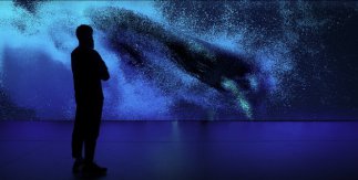 Echoes in the Mind of the Whale. Marshmallow Laser Feast