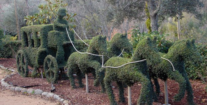 El Bosque Encantado