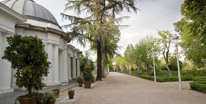 Finca de Vista Alegre