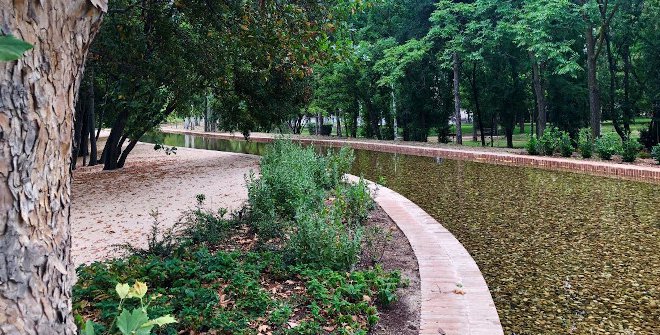 Finca de Vista Alegre