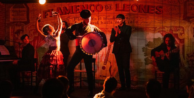 Flamenco de Leones