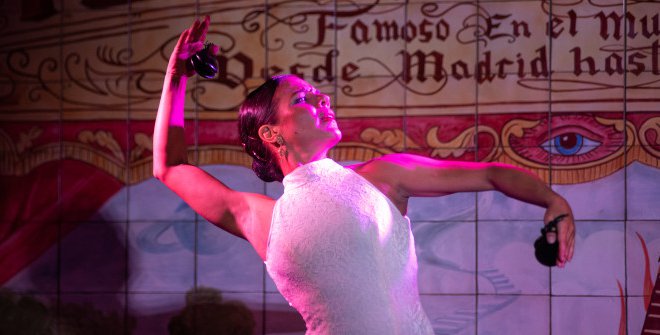 Flamenco de Leones