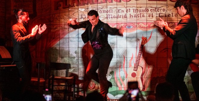 Flamenco de Leones