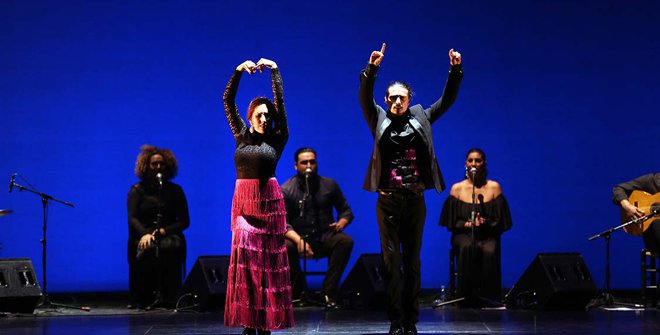 Flamenco por derecho