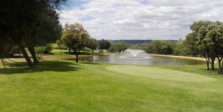 Green Paddock