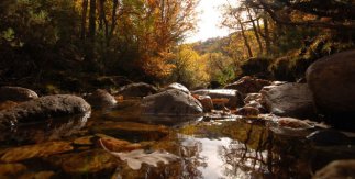 Hayedo de Montejo (Sierra del Rincón) © Equipo de la Reserva de la Biosfera Sierra del Rincón