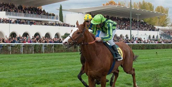 Carreras en el hipódromo de la Zarzuela (12 octubre)
