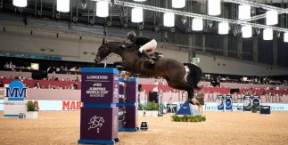 IFEMA Madrid Horse Week 2024