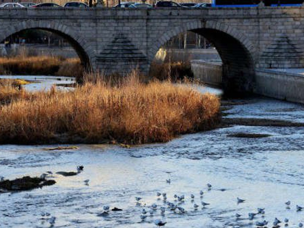 Plan renaturalización del río Manzanares