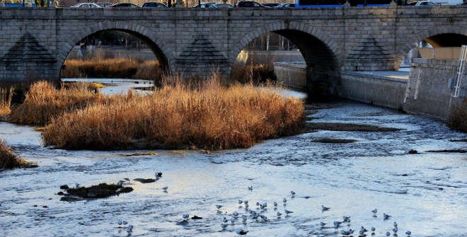 Plan renaturalización del río Manzanares