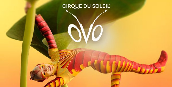 OVO - Cirque du Soleil