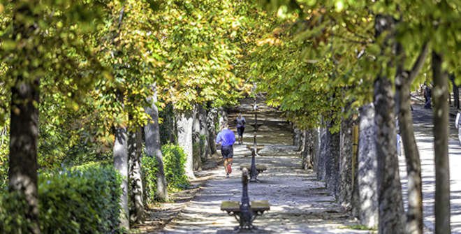 Parque de El Retiro. © Álvaro López del Cerro. Madrid Destino