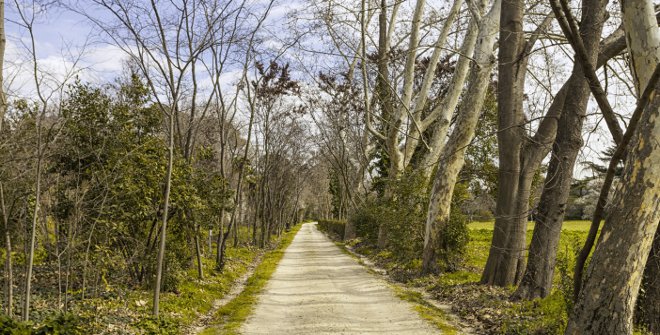 Quinta de Torre Arias