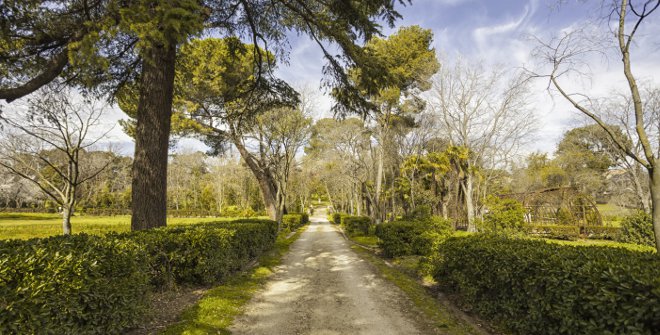 Quinta de Torre Arias