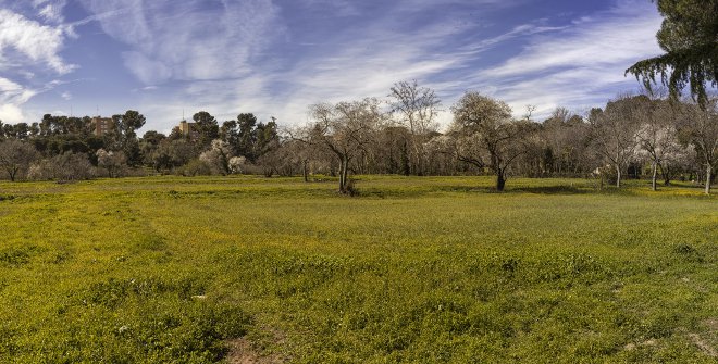Quinta de Torre Arias