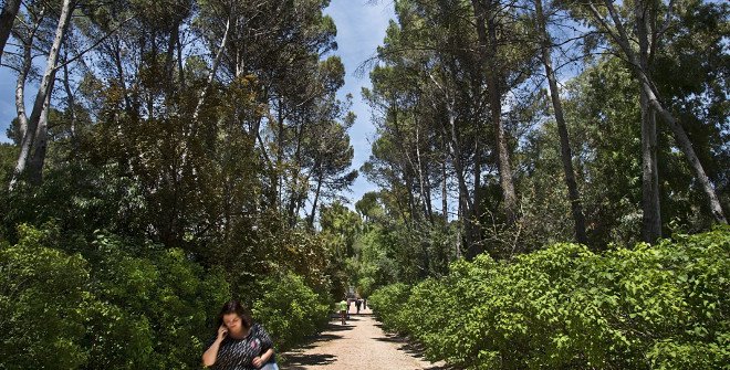 Quinta de los Molinos