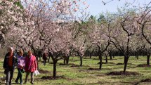 Quinta de los Molinos
