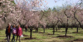 Quinta de los Molinos