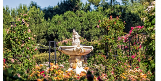 Rosaleda de El Retiro. © Álvaro López del Cerro