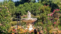 Rosaleda de El Retiro © Álvaro López del Cerro