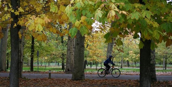 Ciclista en la Ruta Verde de la Casa de Campo