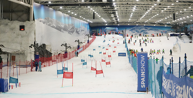 Snozone